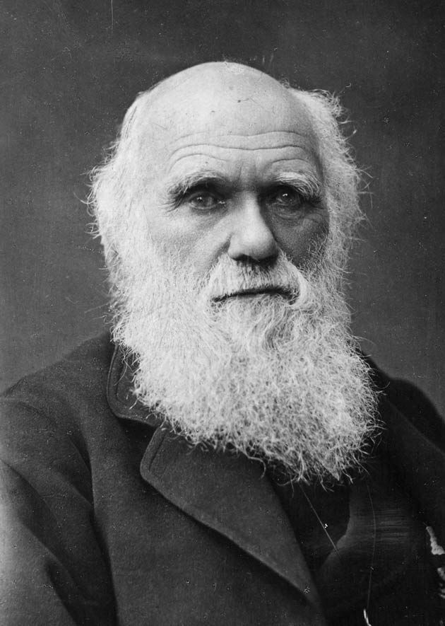 Charles Darwin in einer späten Porträtaufnahme um 1880, mit seinem charakteristischen langen Bart und nachdenklichem, ruhigem Blick.
