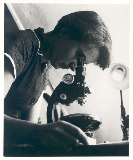 Rosalind Franklin in ihrem Labor am King's College London, um 1952, während ihrer Forschungsarbeit an der DNA-Struktur.
