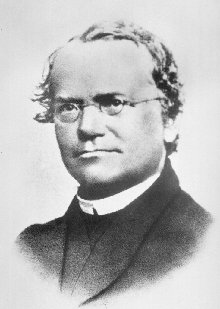 Gregor Mendel