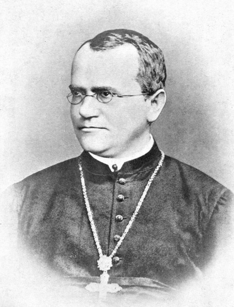 Der Augustinerabt Gregor Mendel in formeller Kleidung, eine Fotografie um 1880, die ihn als reifen Wissenschaftler und Geistlichen zeigt.