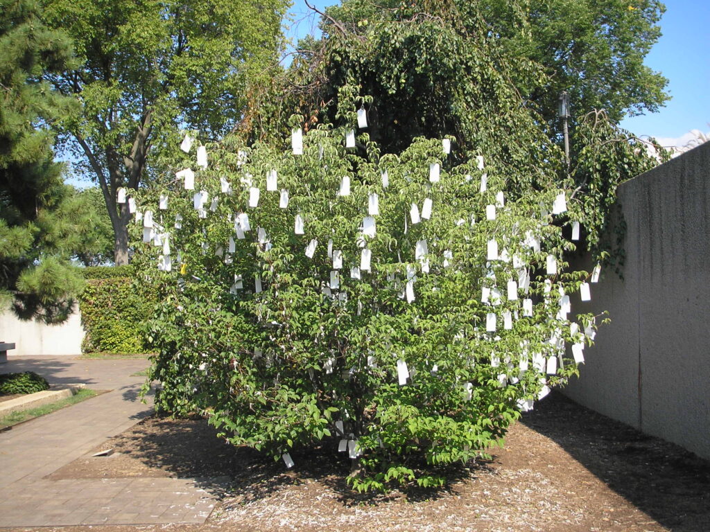 Yoko Ono